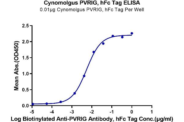 PVRIG Protein (AA 41-171) (Fc Tag)