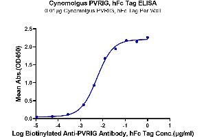 PVRIG Protein (AA 41-171) (Fc Tag)