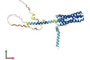 Protein Structure (PS) image for Secretory Carrier Membrane Protein 3 (SCAMP3) (AA 1-349) protein (His tag) (ABIN7562340)