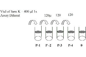 This picture shows the preparation of the positive control. (MAPK14 ELISA Kit)