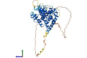 Protein Structure (PS) image for Nuclear Receptor Subfamily 5, Group A, Member 1 (NR5A1) (AA 1-462) protein (His tag) (ABIN7563142)