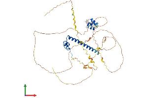 Protein Structure (PS) image for DMRT-Like Family A1 (DMRTA1) (AA 1-504) protein (His tag) (ABIN7547137)