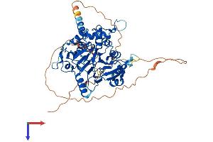 DBR1 Protein (AA 1-550) (His tag)