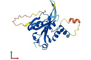 Protein Structure (PS) image for Josephin Domain Containing 1 (JOSD1) (AA 1-202) protein (His tag) (ABIN7561283)