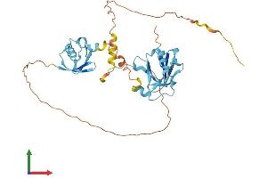 Protein Structure (PS) image for Ubiquitin Family Domain Containing 1 (UBFD1) (AA 1-368) protein (His tag) (ABIN7558174)