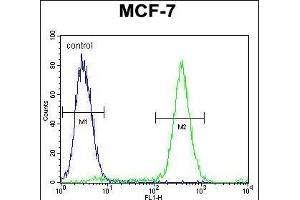 QTRTD1 Antibody (C-term) (ABIN655642 and ABIN2845119) flow cytometric analysis of MCF-7 cells (right histogram) compared to a negative control cell (left histogram). (QTRTD1 Antikörper  (C-Term))