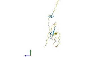 Protein Structure (PS) image for Proline Rich 15 (PRR15) (AA 1-129) protein (His tag) (ABIN7550963)