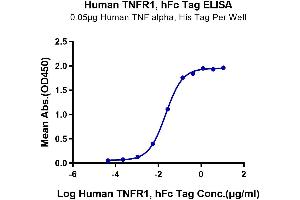 Immobilized Human TNF alpha, His Tag at 0. (TNFRSF1A Protein (AA 30-211) (Fc Tag))