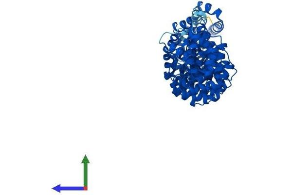 SPAG6 Protein (AA 1-509) (His tag)