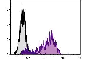 PMA and ionomycin stimulated human endothelial cell line HUV-EC-C was stained with Mouse Anti-Human CD62E/CD62P-PE. (P-Selectin Antikörper  (Biotin))