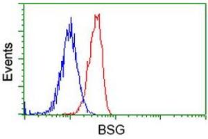 Image no. 3 for anti-Basigin (Ok Blood Group) (BSG) antibody (ABIN1498015) (CD147 Antikörper)