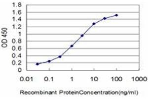 Detection limit for recombinant GST tagged HSPA1B is approximately 0. (HSPA1B Antikörper  (AA 531-611))