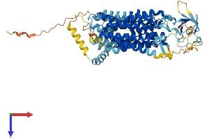 SLCO2A1 Protein (AA 1-643) (His tag)