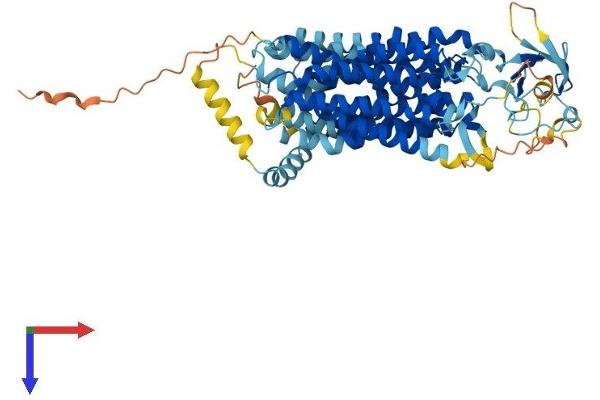 SLCO2A1 Protein (AA 1-643) (His tag)