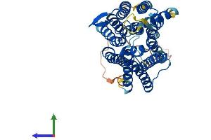 Protein Structure (PS) image for G Protein-Coupled Receptor 172A (GPR172A) (AA 1-450) protein (His tag) (ABIN7561121)