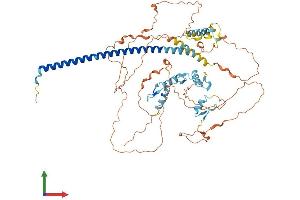 AlphaFold protein structure predicition of Human Recombinant ZNF746 Protein, UniprotID Q6NUN9