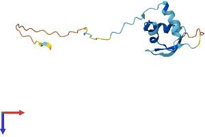 RPS25 Protein (AA 1-125) (His tag)