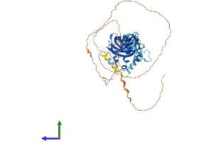 Protein Structure (PS) image for Early B-Cell Factor 3 (EBF3) (AA 1-596) protein (His tag) (ABIN7562206)