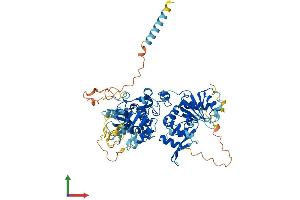 Protein Structure (PS) image for Exostoses (Multiple)-Like 1 (EXTL1) (AA 1-676) protein (His tag) (ABIN7547508)