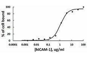 ELISA image for Intercellular Adhesion Molecule 1 (ICAM1) (AA 28-480), (C-Term) (Active) protein (Fc Tag) (ABIN2666823)