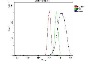 Flow Cytometry analysis of PC-3 cells using anti-IGBP1 antibody (ABIN7601811).
