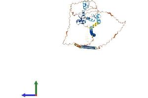 AlphaFold protein structure predicition of Human Recombinant ZNF853 Protein, UniprotID P0CG23