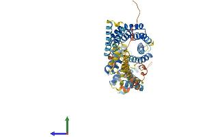 Protein Structure (PS) image for Interferon-Induced Protein with Tetratricopeptide Repeats 3 (IFIT3) (AA 1-490) protein (His tag) (ABIN7554141)