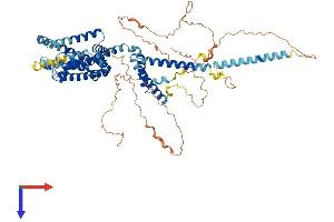 KCNQ1 Protein (AA 1-668) (His tag)