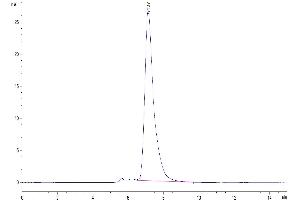 The purity of Human LILRB1 is greater than 95 % as determined by SEC-HPLC. (LILRB1 Protein (AA 24-458) (mFc Tag))