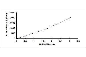 Typical standard curve (SFRP1 ELISA Kit)