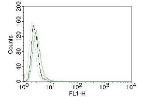 Flow Cytometry of EGFR on Mouse NIH/3T3 cells.