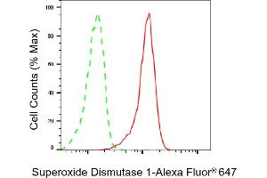 Flow cytometric analysis of Superoxide Dismutase 1 expression in HepG2 cells using Superoxide Dismutase 1 antibody (ABIN7800461), 1:2,000).
