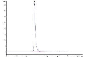 Size-exclusion chromatography-High Pressure Liquid Chromatography (SEC-HPLC) image for Amyloid beta (A4) Precursor-Like Protein 2 (APLP2) (AA 32-692) protein (His tag) (ABIN7273823)