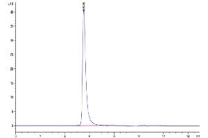 The purity of Human APLP2 is greater than 95 % as determined by SEC-HPLC. (APLP2 Protein (AA 32-692) (His tag))