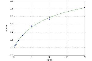 A typical standard curve