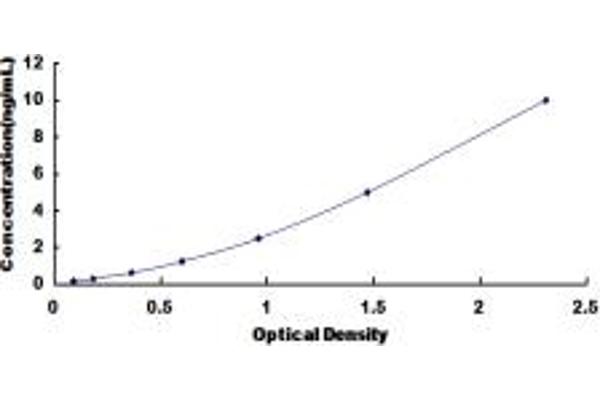 SDHD ELISA Kit