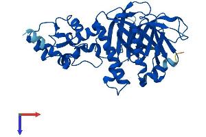 ADAP1 Protein (AA 1-374) (His tag)