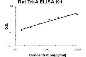 Rat TrkA PicoKine ELISA Kit standard curve