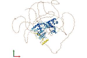Protein Structure (PS) image for Transcription Termination Factor, RNA Polymerase I (TTF1) (AA 1-905) protein (His tag) (ABIN7555848)
