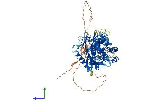 Protein Structure (PS) image for Adenosine Deaminase Domain Containing 1 (Testis-Specific) (ADAD1) (AA 1-576) protein (His tag) (ABIN7551925)