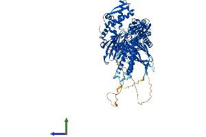 Protein Structure (PS) image for Heat Shock 70kDa Protein 4-Like (HSPA4L) (AA 1-839) protein (His tag) (ABIN7548370)