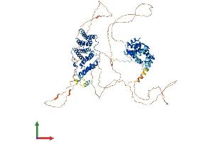 Protein Structure (PS) image for CWC22 Spliceosome-Associated Protein Homolog (CWC22) (AA 1-908) protein (His tag) (ABIN7564518)