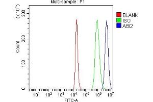 Flow Cytometry analysis of SH-SY5Y cells using anti-ABI2 antibody (ABIN7600125). (ABI2 Antikörper  (AA 151-400))