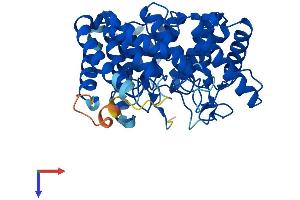 AlphaFold protein structure predicition of Human Recombinant LANCL3 Protein, UniprotID Q6ZV70