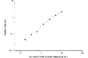 Podoplanin ELISA Kit