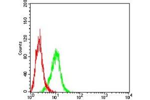 Flow cytometric analysis of A431 cells using KRT13 mouse mAb (green) and negative control (red). (Cytokeratin 13 Antikörper  (AA 104-458))