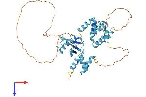 RAD23A Protein (AA 1-363) (His tag)