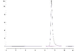 Size-exclusion chromatography-High Pressure Liquid Chromatography (SEC-HPLC) image for Interleukin 25 (IL25) (AA 33-177) protein (His tag) (ABIN7274920)
