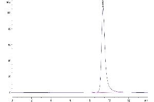 The purity of Human IL-25 is greater than 95 % as determined by SEC-HPLC. (IL-25 Protein (AA 33-177) (His tag))