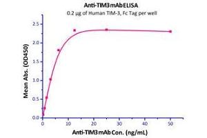 Immobilized Human TIM-3 (22-200), Fc Tag (Cat# TM3-H5258) at 2 μg/mL (100 µl/well),can bind anti-TIM3 mAb with a linear range of 0. (TIM3 Protein (AA 22-200) (Fc Tag))